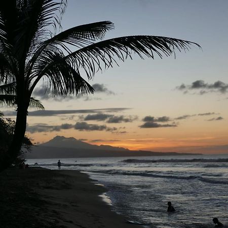 La Villa Caribeenne De La Plage Des Surfeurs Ла-Трініте Екстер'єр фото